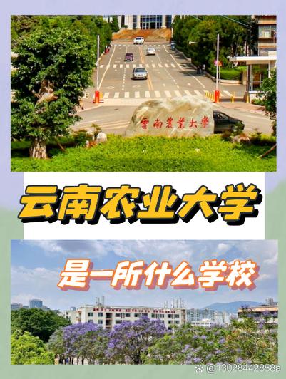 云南农业大学哪个学院实力强？-图1