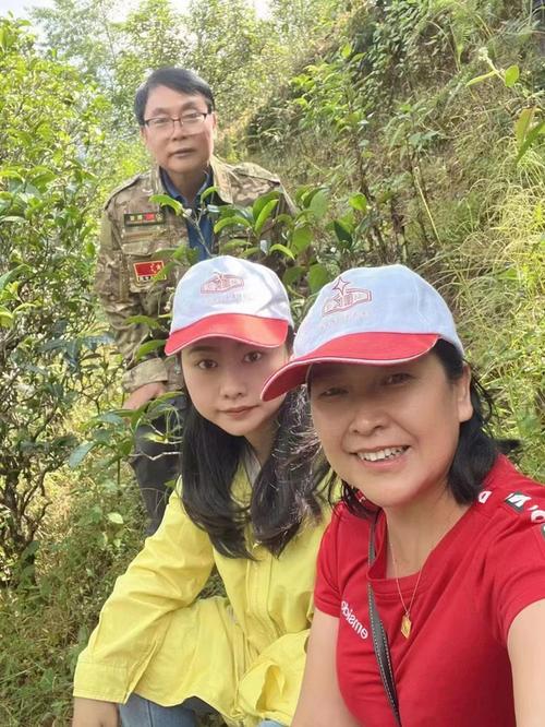 临沧双江录取分数多少-图3