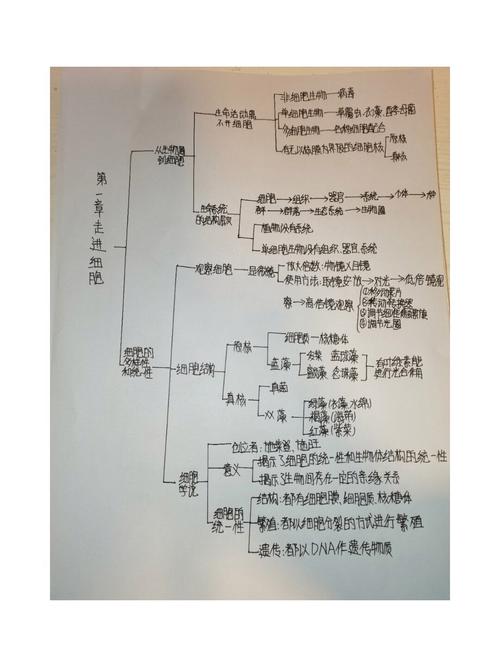 种群与群落思维导图，核心要点有哪些？-图2