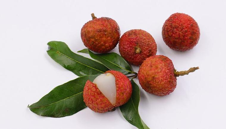 罗辑思维荔枝-图2 罗辑思维荔枝-图2