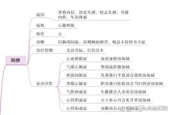 中医内科思维导图该如何高效构建？-图2