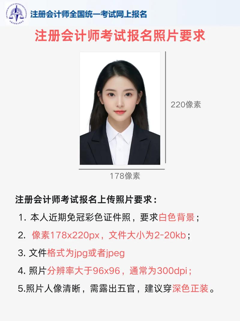 注册会计师专业阶段报名条件有哪些?-图3 注册会计师专业阶段报名条件有哪些?-图3