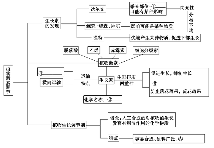 激素调节思维导图，核心要点有哪些？-图1