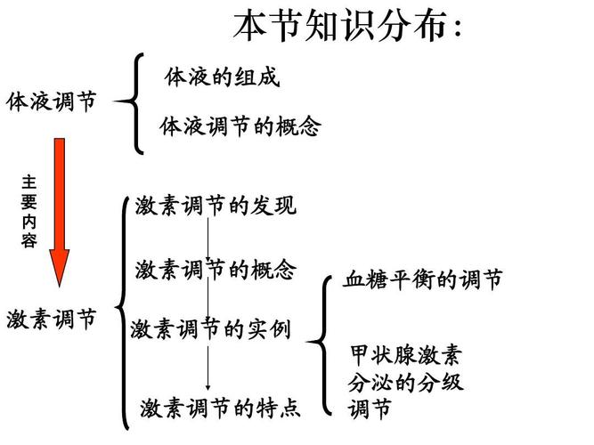 激素调节思维导图，核心要点有哪些？-图2