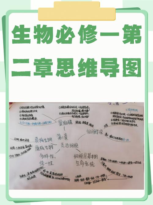 思维导图 生物-图1