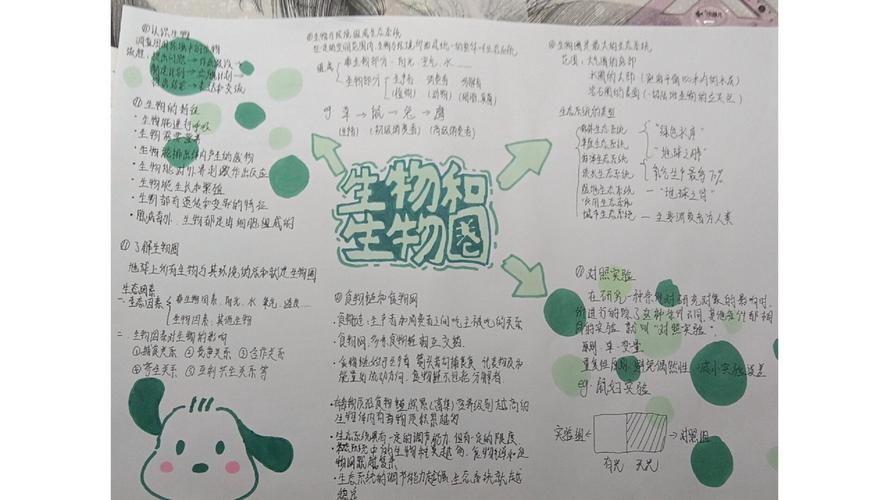 思维导图 生物-图2