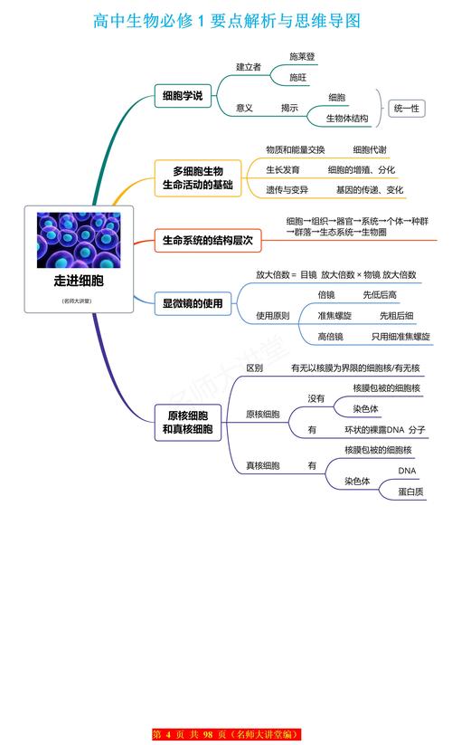 思维导图 生物-图3