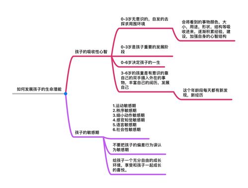 蒙台梭利感官思维导图-图3