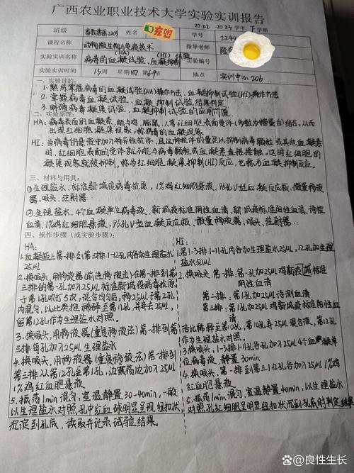 思维训练实训报告-图1 思维训练实训报告-图1