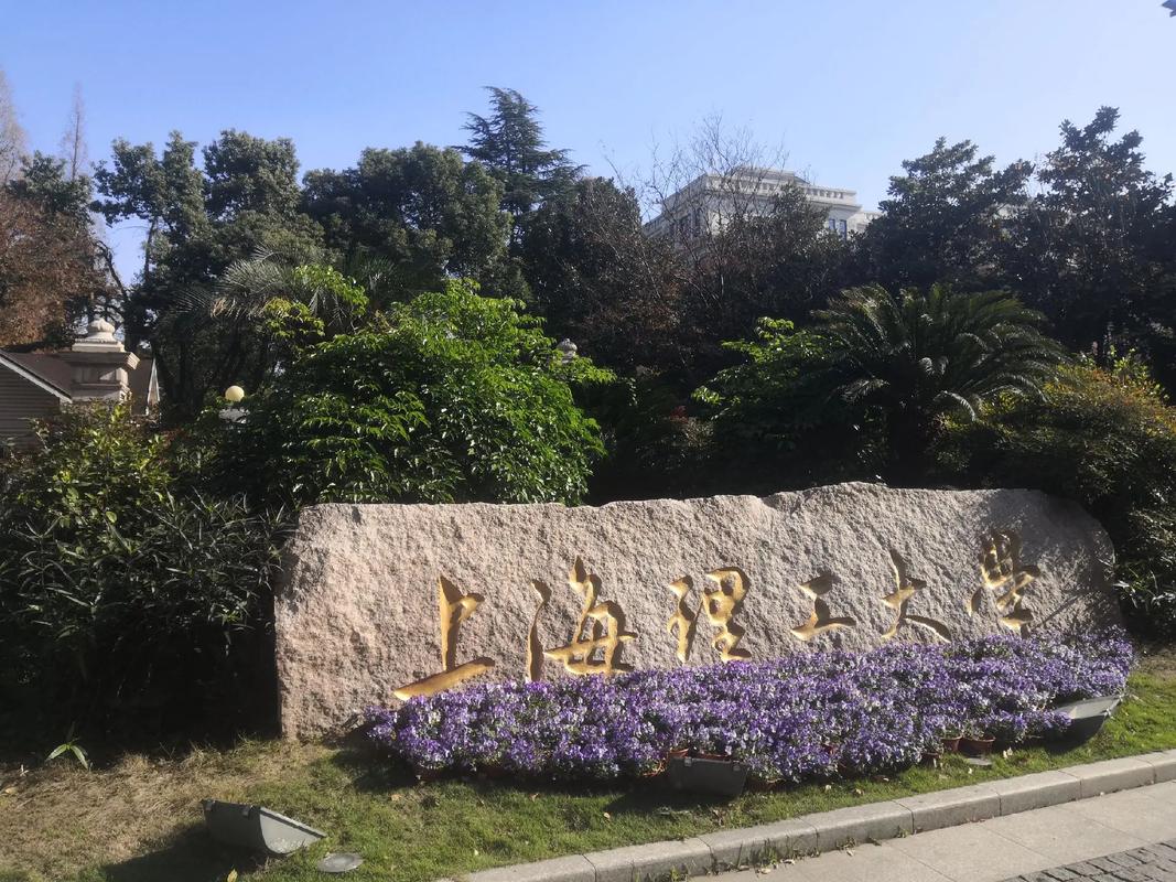 上海理工与艺术院校,哪个更好?-图3 上海理工与艺术院校,哪个更好?-图3