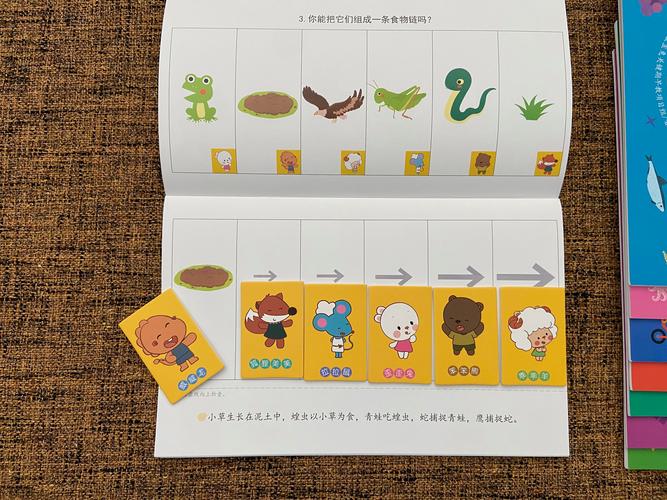 小学思维游戏大全，怎么选才适合孩子？-图2