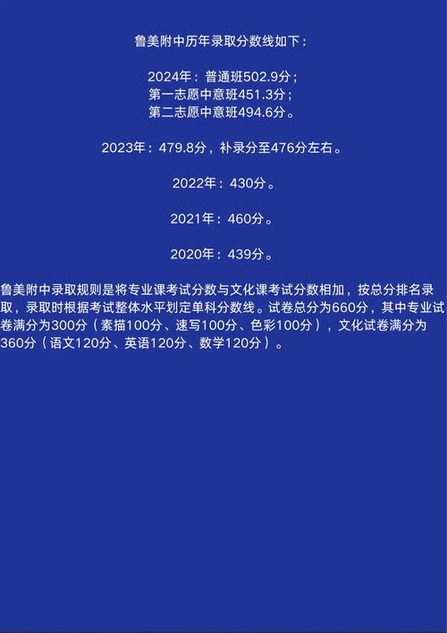 鲁美录取排名多少能进？-图1