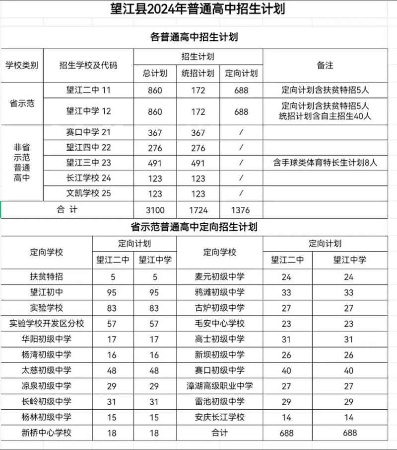2025望江二中录取分数线多少？-图1
