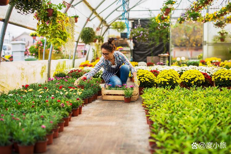 观赏园艺专业选校，哪些学校实力强？-图3