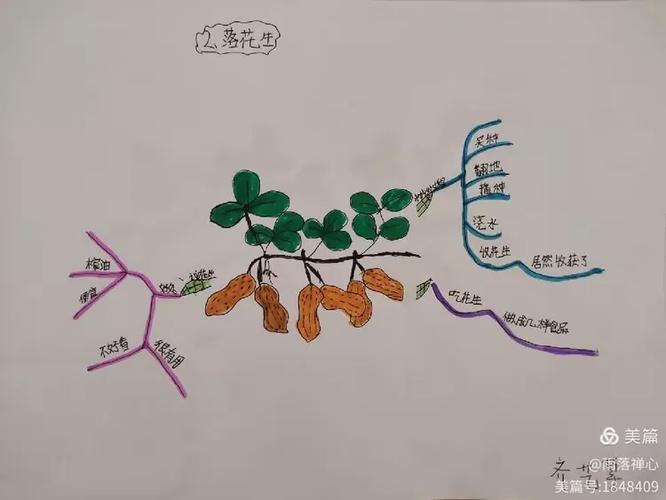 落花无声，可曾有未诉尽的思绪？-图3