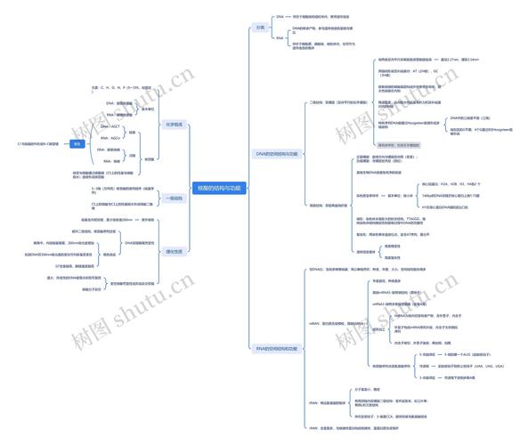 核酸的思维导图，核心逻辑是什么？-图1
