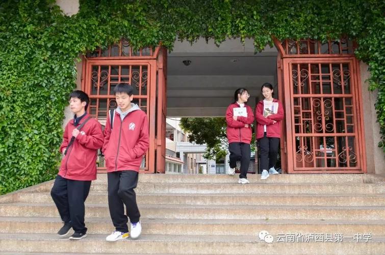 泸西一中录取分数线是多少？-图3