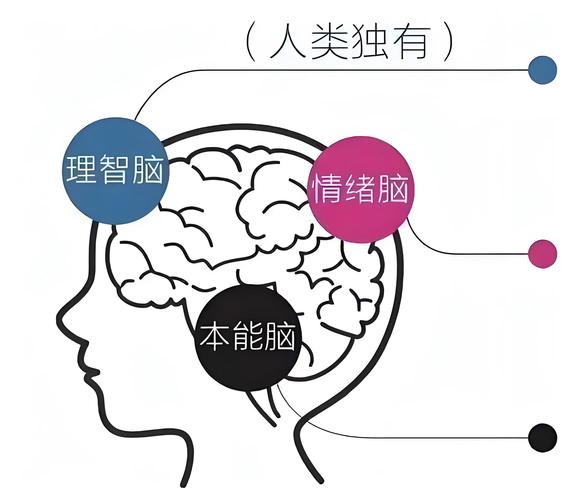 思维原动力究竟是什么?-图3 思维原动力究竟是什么?-图3