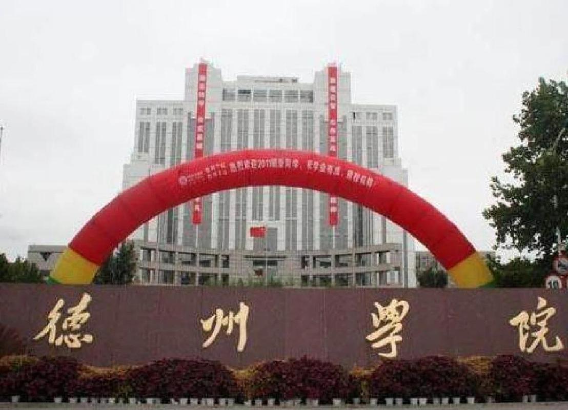 德州学院录取分数线多少？-图3