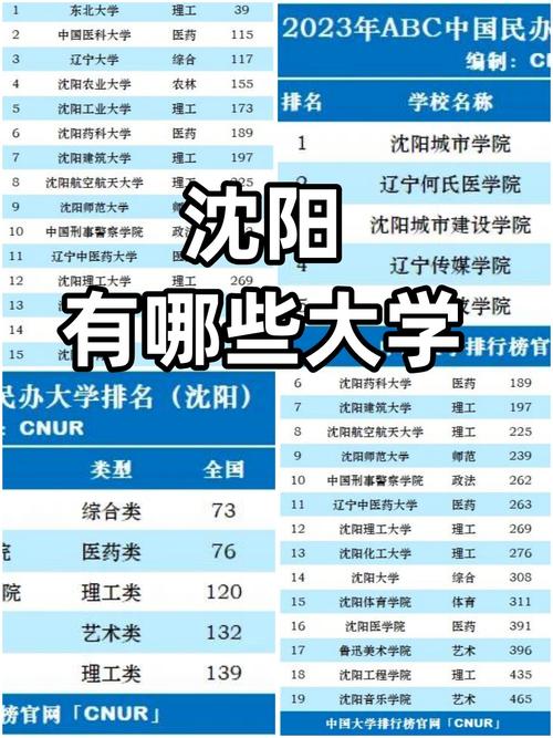 沈阳大学录取分数线是多少？-图2