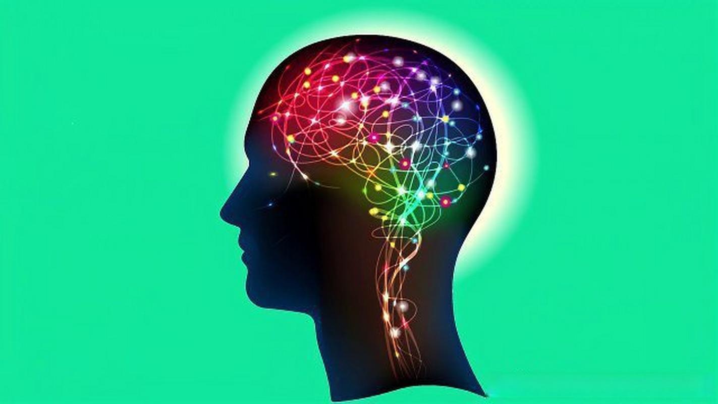 大脑思维如何运作？-图2