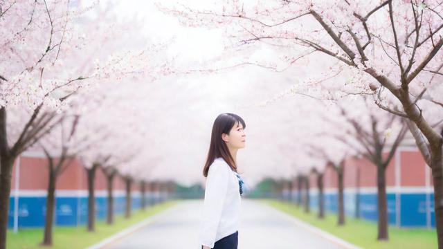 春季高考怎么样?其考试难度、招生情况及对考生未来发展有何影响?-第1张图片-益智教育网 春季高考怎么样?其考试难度、招生情况及对考生未来发展有何影响?-第1张图片-益智教育网
