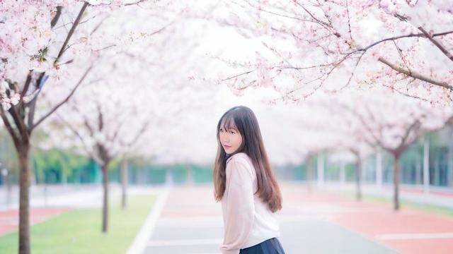 春季高考怎么样?其考试难度、招生情况及对考生未来发展有何影响?-第2张图片-益智教育网 春季高考怎么样?其考试难度、招生情况及对考生未来发展有何影响?-第2张图片-益智教育网