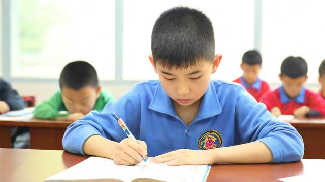 小学语文该怎么学,小学语文学习,究竟该如何入手?-第2张图片-益智教育网 小学语文该怎么学,小学语文学习,究竟该如何入手?-第2张图片-益智教育网