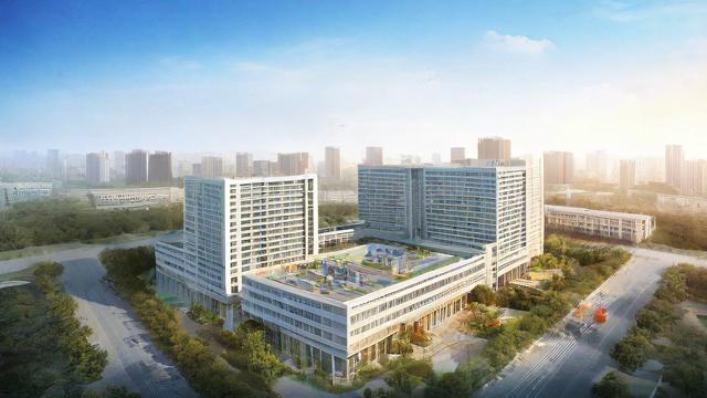 怎么查往年四级成绩-第1张图片-益智教育网