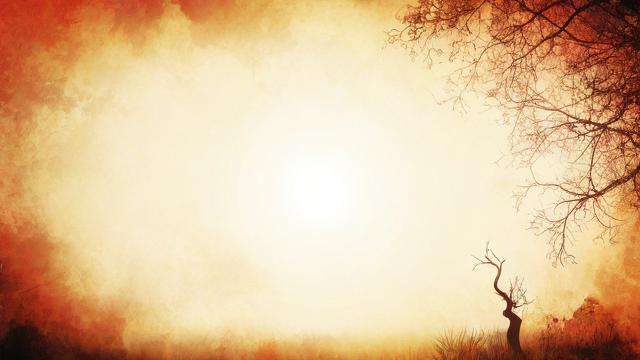 如何有效提高完形填空的解题能力?-第1张图片-益智教育网 如何有效提高完形填空的解题能力?-第1张图片-益智教育网