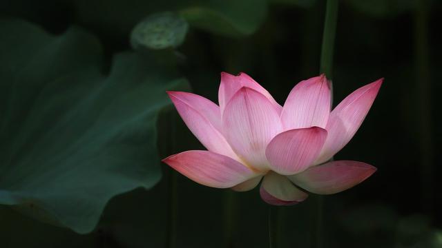 如何选择关键材料？选材技巧大揭秘！-第2张图片-益智教育网