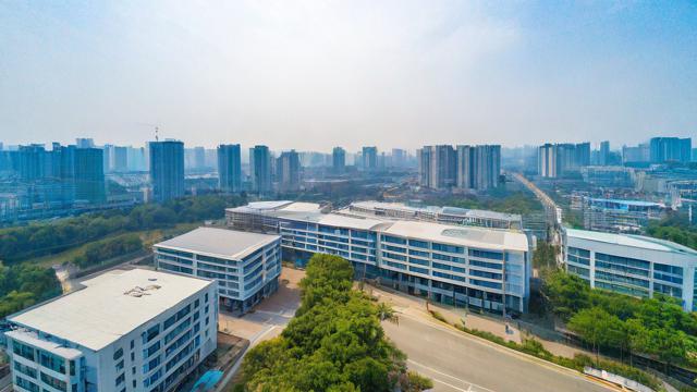 绵阳英语怎么说?教你正确发音和拼写-第1张图片-益智教育网 绵阳英语怎么说?教你正确发音和拼写-第1张图片-益智教育网