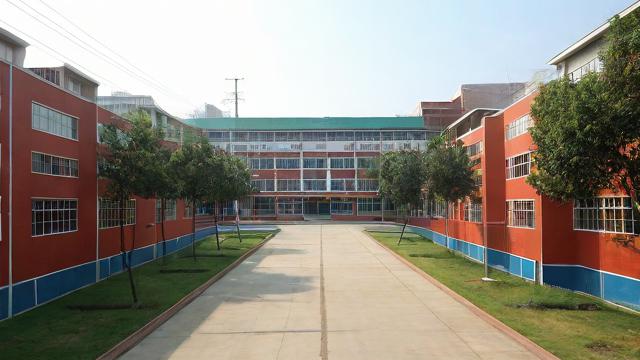 唐镇小学怎么样-第1张图片-益智教育网 唐镇小学怎么样-第1张图片-益智教育网