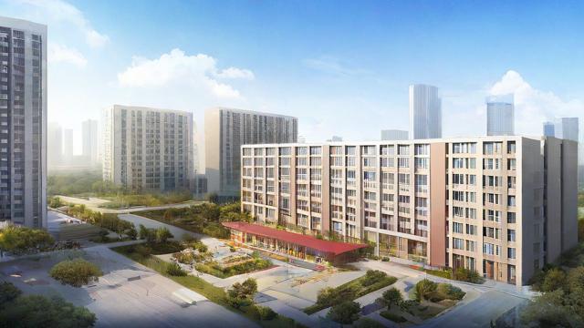 深圳市综合高中怎么样-第1张图片-益智教育网