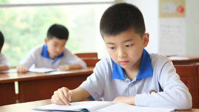 中考未录取究竟是怎样的情况?-第1张图片-益智教育网 中考未录取究竟是怎样的情况?-第1张图片-益智教育网