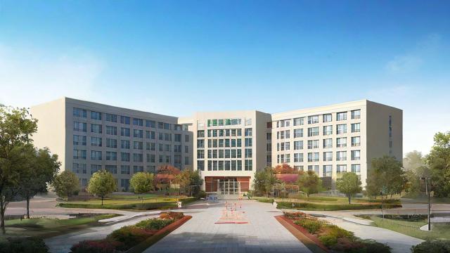 西安第82中学教育质量如何?-第1张图片-益智教育网 西安第82中学教育质量如何?-第1张图片-益智教育网