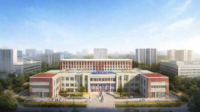 长郡国际班的教学质量和学生发展情况究竟如何?-第1张图片-益智教育网 长郡国际班的教学质量和学生发展情况究竟如何?-第1张图片-益智教育网