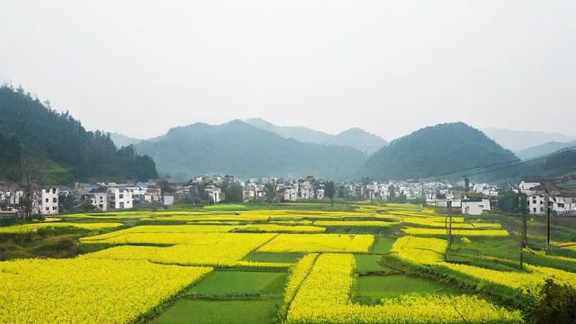 写家乡怎么样写,如何生动描绘家乡风貌,写作技巧与心得分享?-第2张图片-益智教育网 写家乡怎么样写,如何生动描绘家乡风貌,写作技巧与心得分享?-第2张图片-益智教育网
