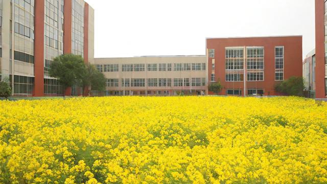 黄花店高中怎么样,黄花店高中究竟怎么样?-第2张图片-益智教育网 黄花店高中怎么样,黄花店高中究竟怎么样?-第2张图片-益智教育网