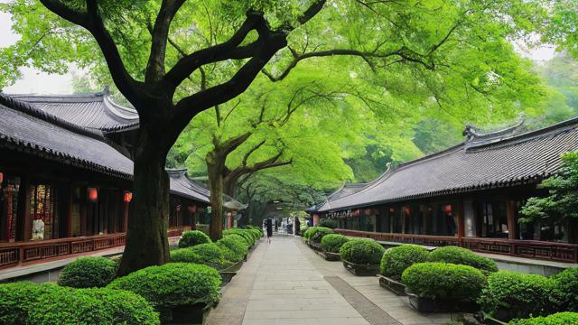 成都树德协进学校究竟怎么样?-第1张图片-益智教育网 成都树德协进学校究竟怎么样?-第1张图片-益智教育网