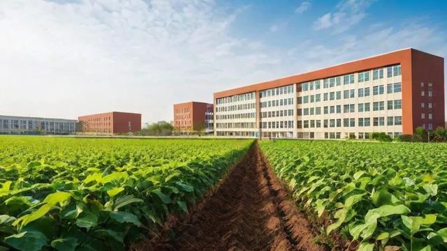 黑农业职院究竟怎么样?全面解析其教育质量与就业前景-第1张图片-益智教育网 黑农业职院究竟怎么样?全面解析其教育质量与就业前景-第1张图片-益智教育网