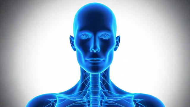 人体锌摄入过量会有哪些潜在影响?-第1张图片-益智教育网 人体锌摄入过量会有哪些潜在影响?-第1张图片-益智教育网