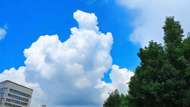 怎么样能晴天(怎么样能晴天不下雨)-第2张图片-益智教育网 怎么样能晴天(怎么样能晴天不下雨)-第2张图片-益智教育网