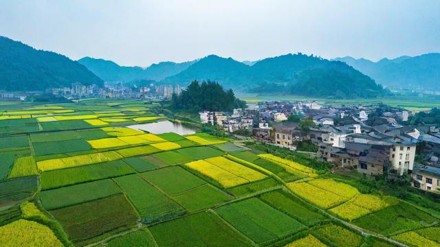 如何写好家乡题材的文章？技巧与灵感分享-第1张图片-益智教育网