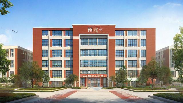 郑州第29中学怎么样-第1张图片-益智教育网 郑州第29中学怎么样-第1张图片-益智教育网
