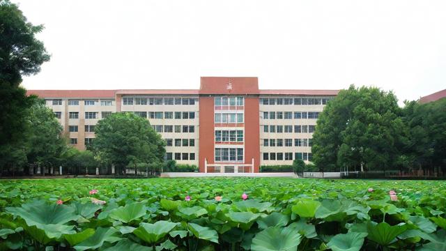 杭州采荷中学的教学质量和校园环境如何?-第1张图片-益智教育网 杭州采荷中学的教学质量和校园环境如何?-第1张图片-益智教育网