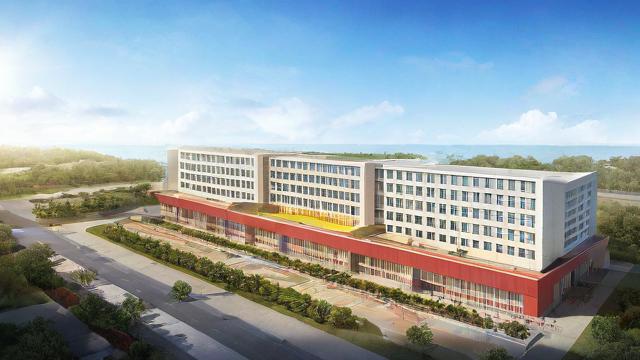 南海华附国际班教学质量和学生评价究竟如何?-第2张图片-益智教育网 南海华附国际班教学质量和学生评价究竟如何?-第2张图片-益智教育网