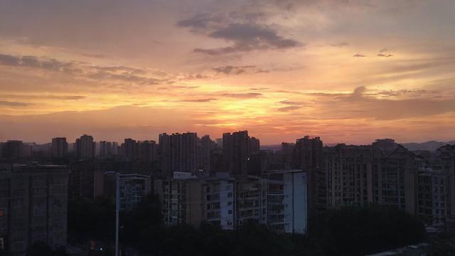 我从生活中学到了什么?-第1张图片-益智教育网 我从生活中学到了什么?-第1张图片-益智教育网