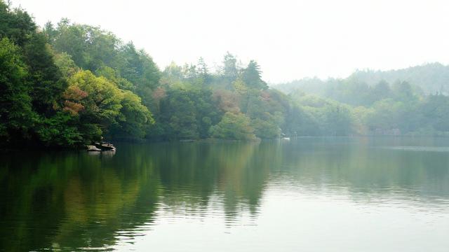 石室北湖校区教学质量如何?环境与口碑全面解析-第1张图片-益智教育网 石室北湖校区教学质量如何?环境与口碑全面解析-第1张图片-益智教育网
