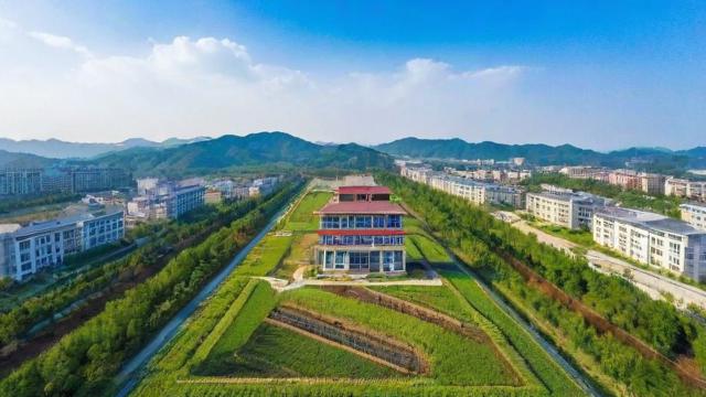 汝阳县研究生如何以乡土深耕展现人才力量与时代担当？-第1张图片-益智教育网